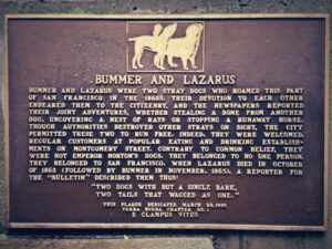 Bummer and Lazarus 