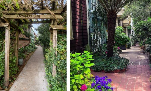 Barbary Lane aka Macondray Lane